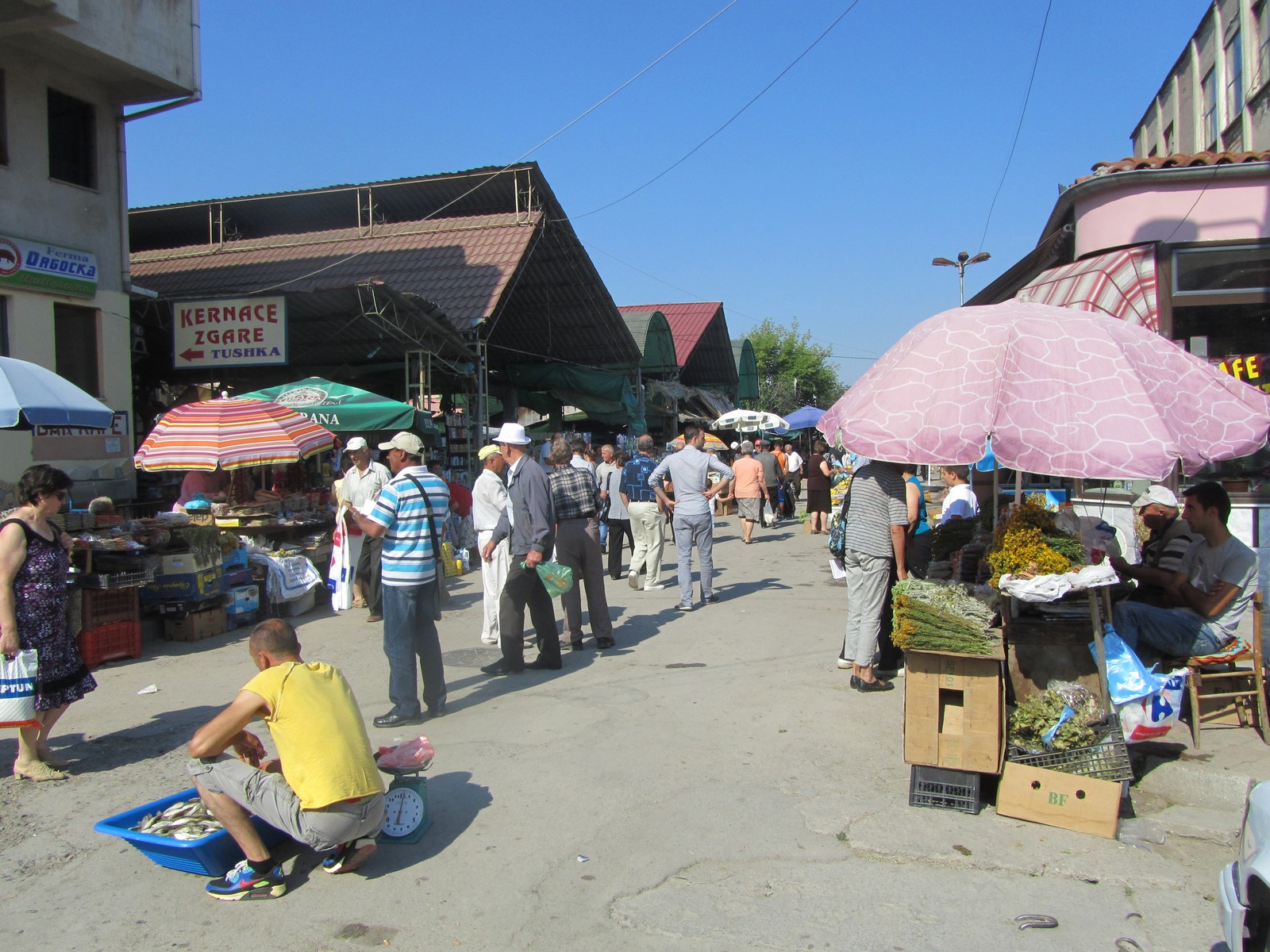Taxi-Guide Ivi Xhufka wartet auf seine Gste beim Marktbummel in Korca - Lupe Reisen