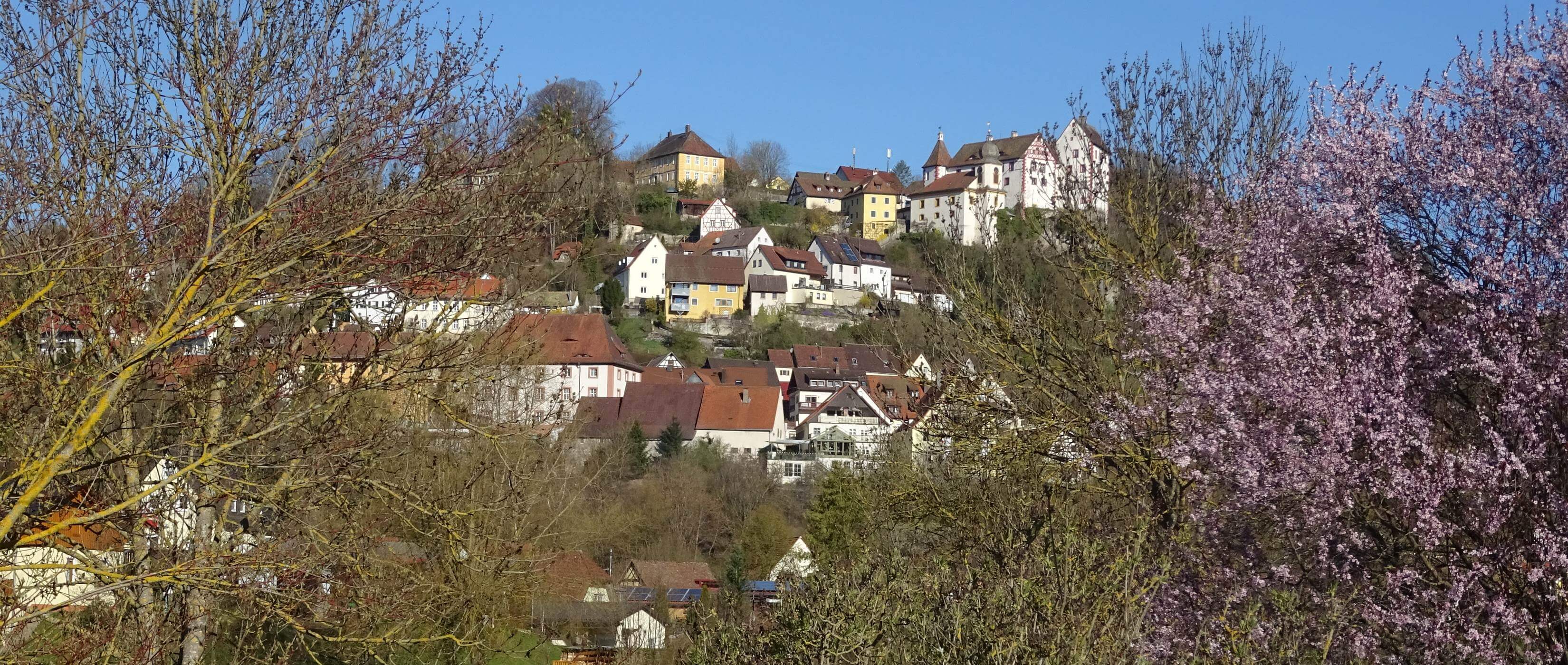 Blick auf Egloffstein mit Frhjahrsblte - Lupe Reisen