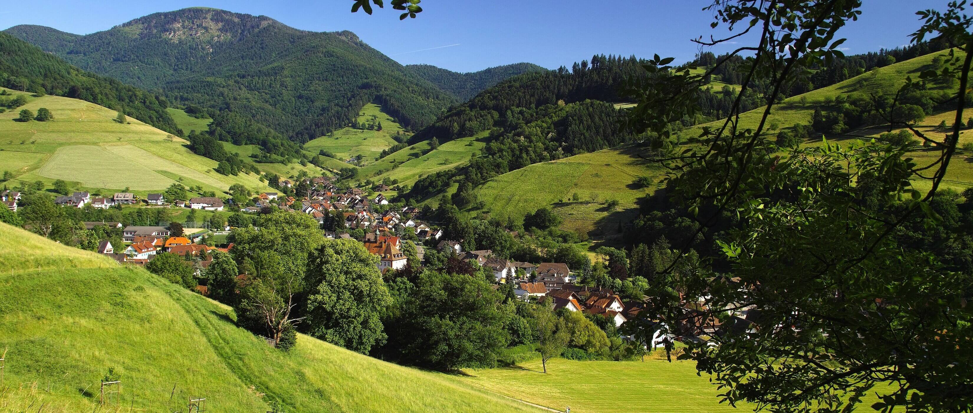 Wanderstudienreise Schwarzwald und Kaiserstuhl (Copyright Ferienregion Mnstertal-Staufen) - Lupe Reisen