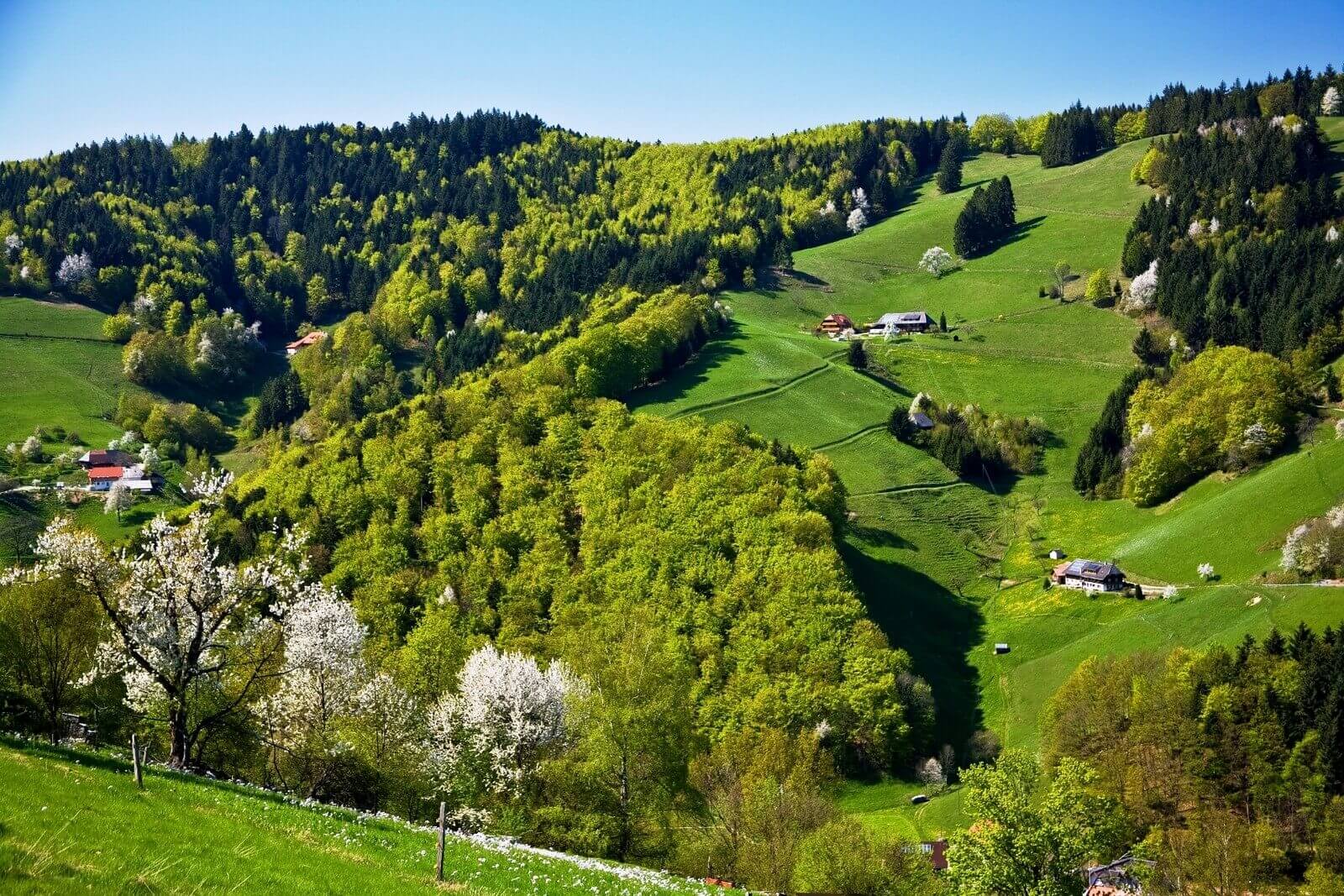 Schwarzwaldhfe im Mnstertal (Copyright Ferienregion Mnstertal-Staufen) - Lupe Reisen