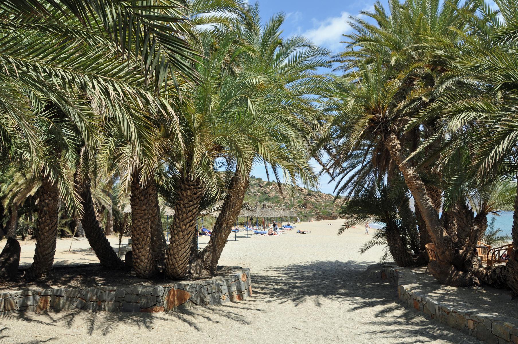 Entspannen am Palmenstrand von Vai - Lupe Reisen