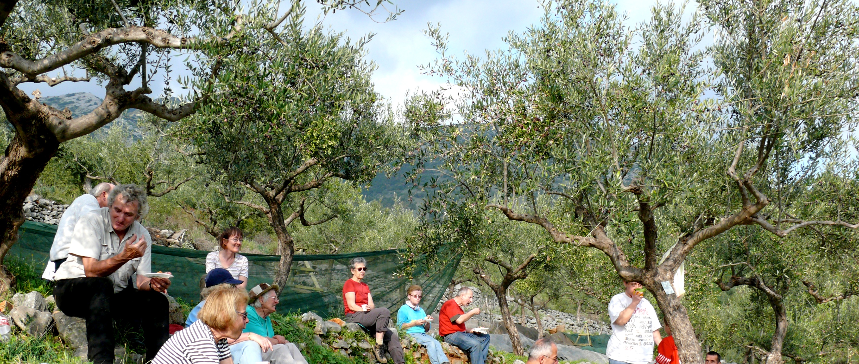 Picknick mit und unter Oliven - Lupe Reisen