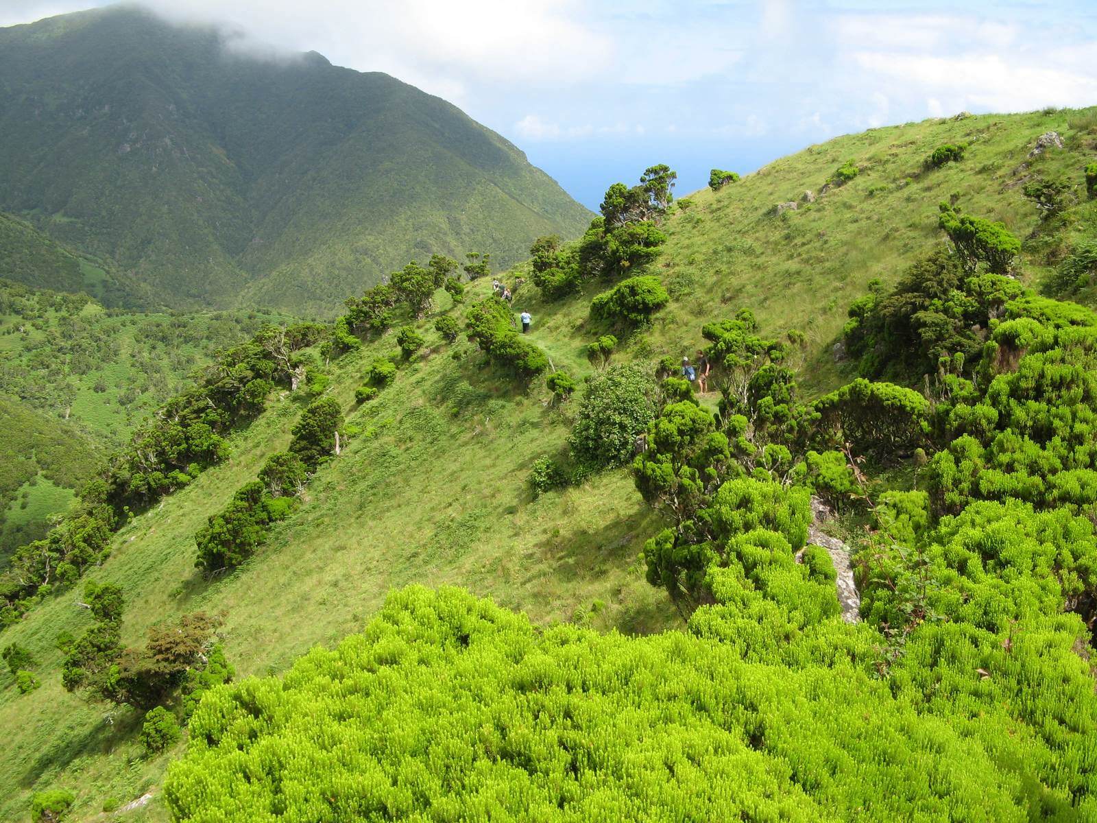 Foto: Wanderweg durch immergrne Berglandschaft auf den Azoren - Lupe Reisen