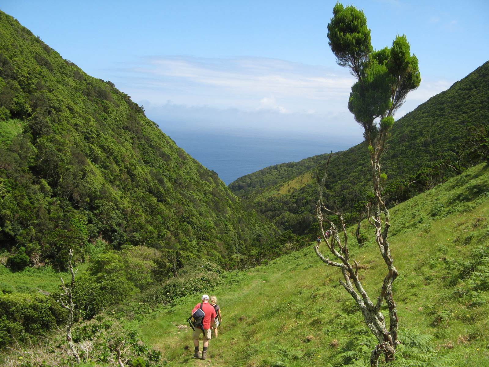 Foto: Wanderung hinunter zur Kste auf den Azoren - Lupe Reisen