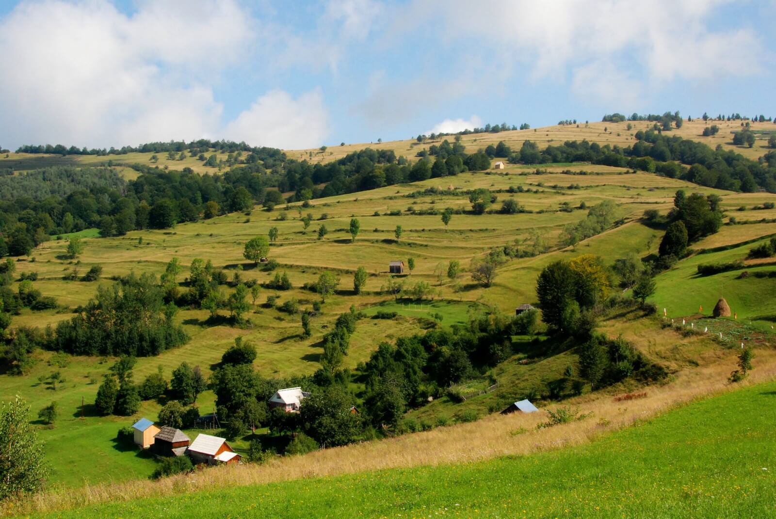 Typische Maramures Landschaft im Iza-Tal - Lupe Reisen