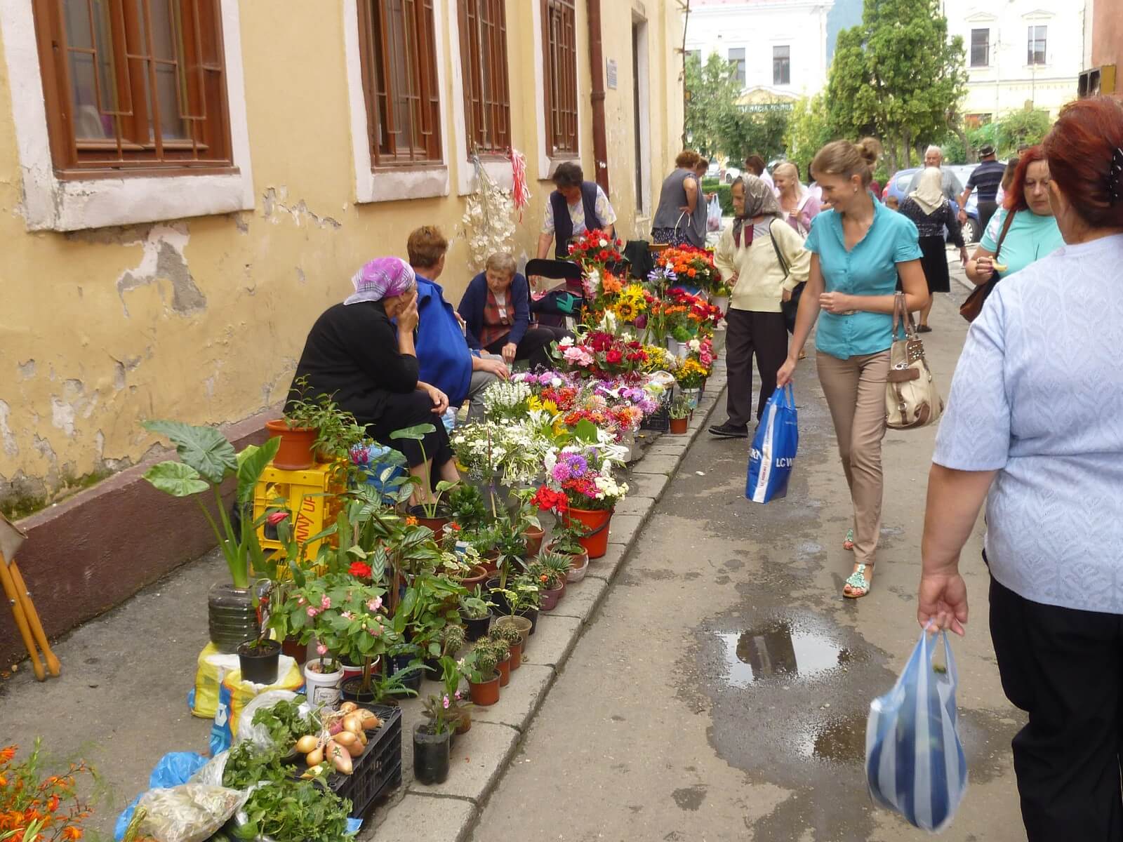Foto Blumenmarkt in Sighetu Marmatiei - Lupe Reisen
