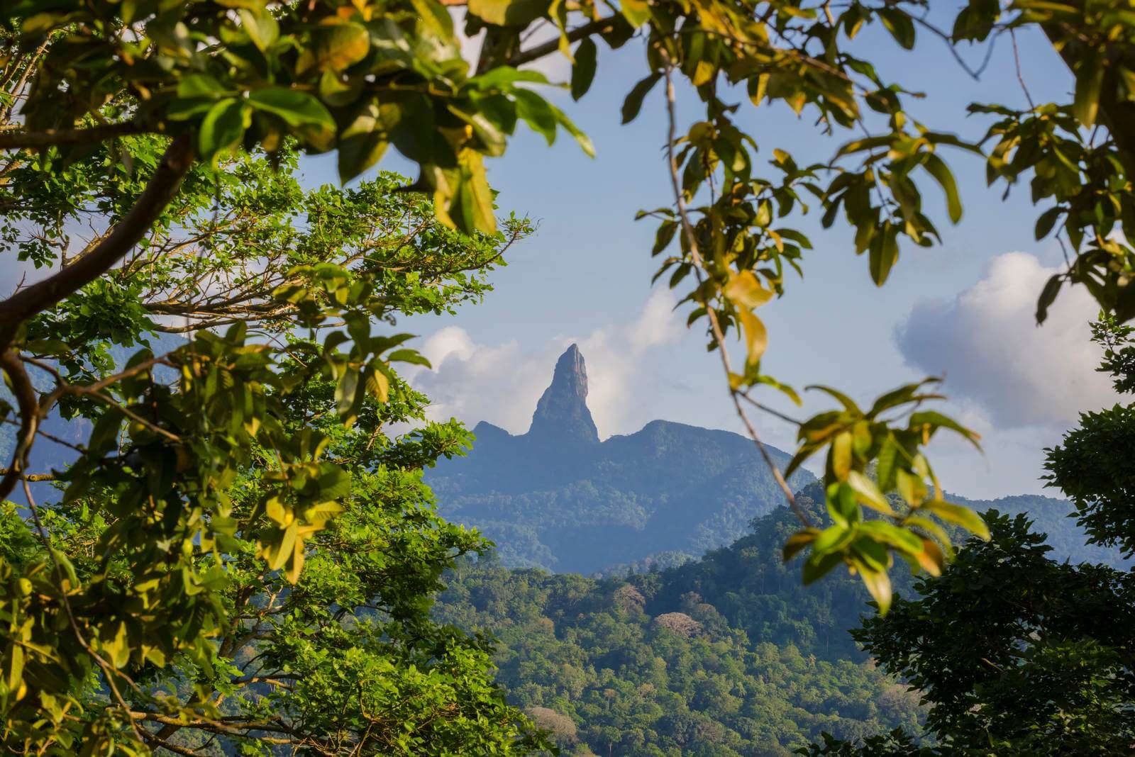 Foto: Bergige Regenwald-Landschaft auf Sao Tome - Bildrechte Matthias Graben - Lupe Reisen