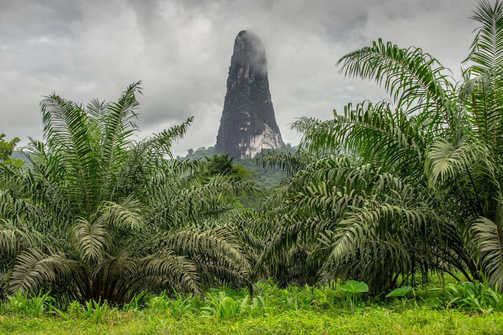 Foto: Basaltnadel Pico Cao Grande auf Sao Tome - Bildrechte Matthias Graben - Lupe Reisen